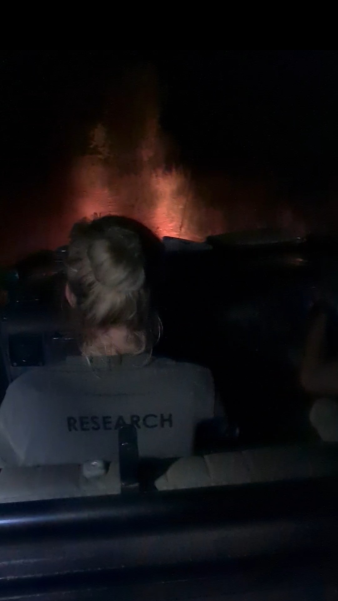 Night Drive Selati Research Night Drive Selati Research