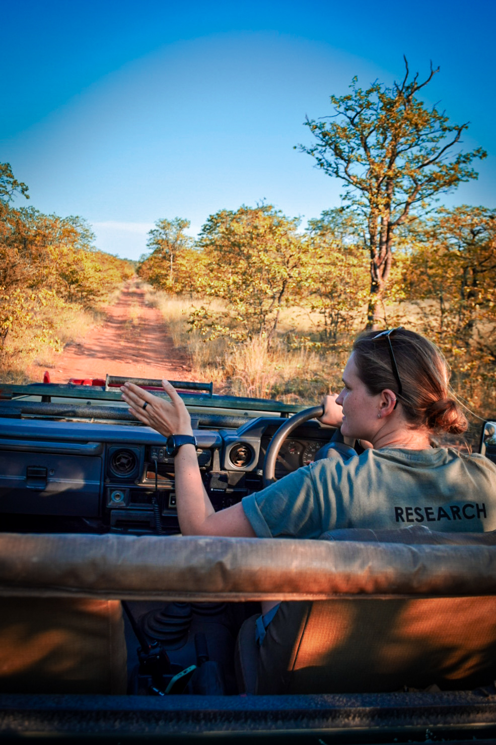 Monitoring Drive at Selati Research Monitoring Drive at Selati Research
