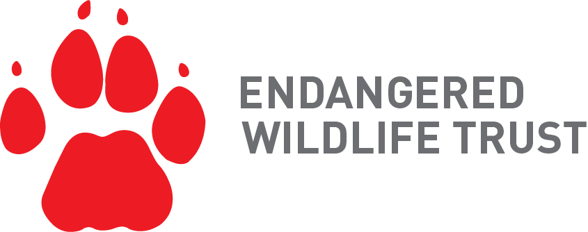 Logo1