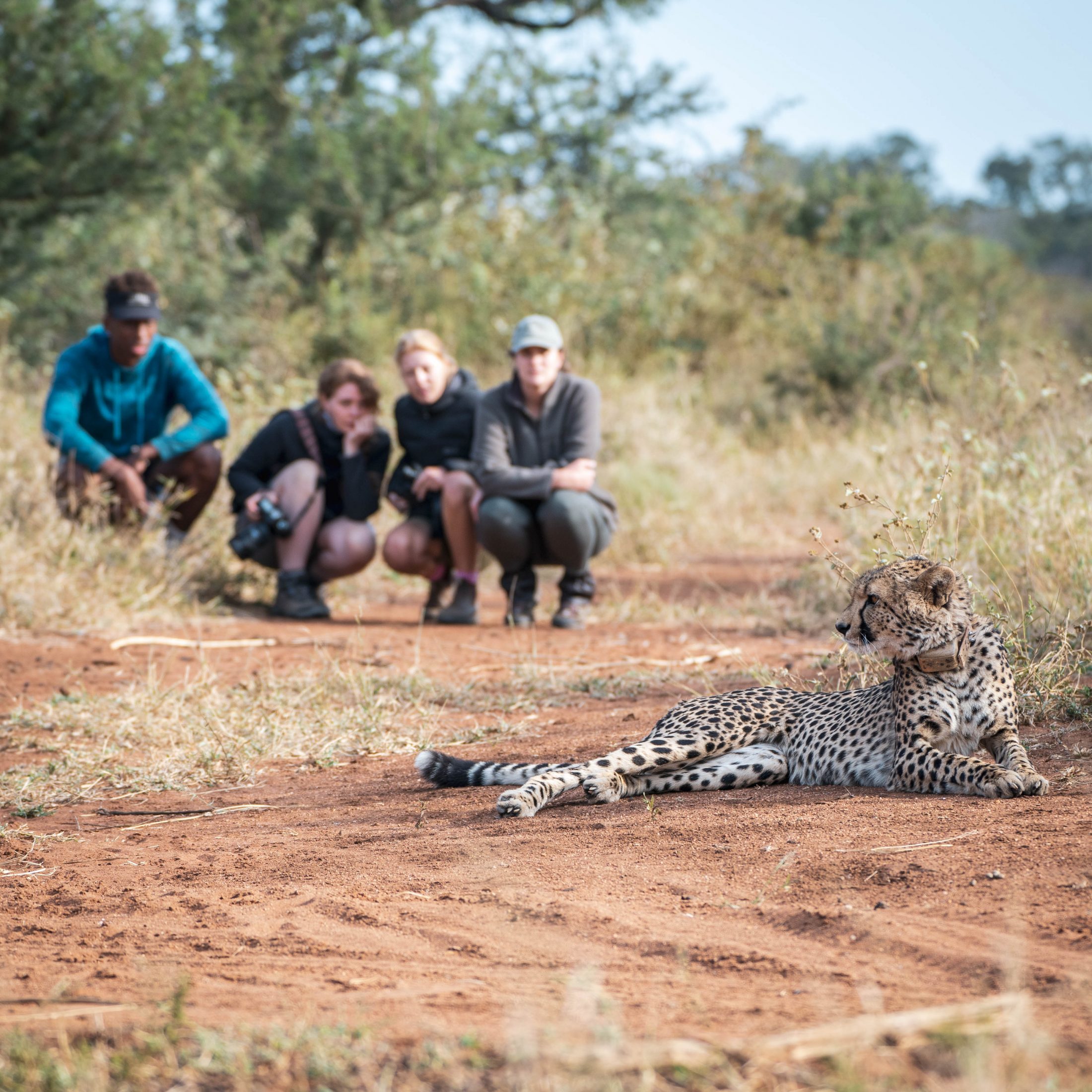 Selati Research Volunteers